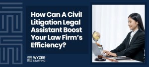 civil litigation Assistant
